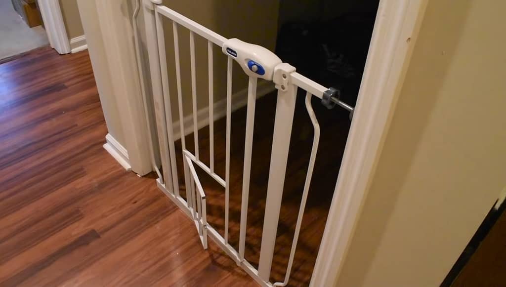 gate