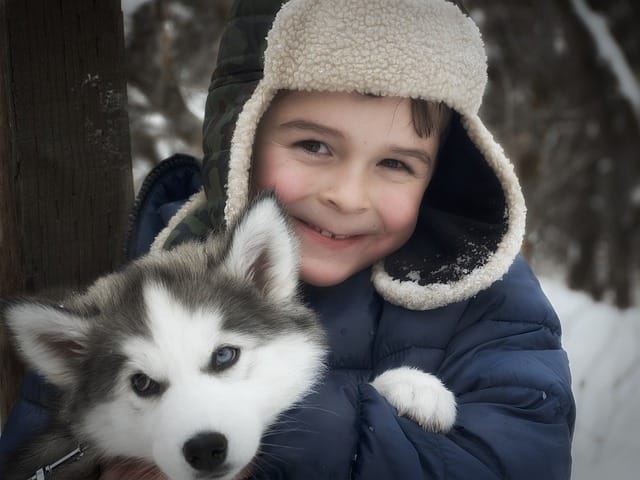 Are Siberian Huskies good with children?